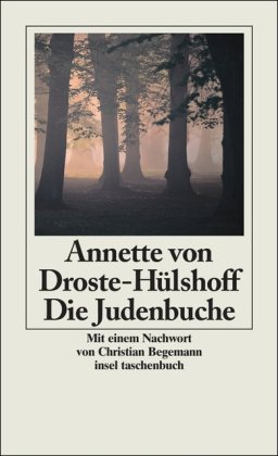 Die Judenbuche: Ein Sittengemälde aus dem gebirgichten Westfalen: Ein Sittengemälde aus dem gebirgichten Westphalen. Mit d. 'Geschichte eines ... v. Christian Begemann (insel taschenbuch)