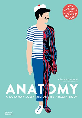 Anatomy: A Cutaway Look Inside the Human Body von Thames & Hudson