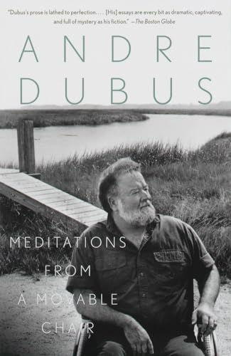 Meditations from a Movable Chair: Essays (Vintage Contemporaries)