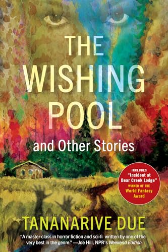 The Wishing Pool and Other Stories von Akashic Books