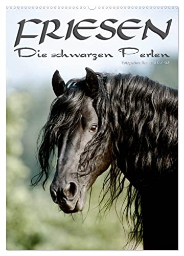 Friesen - die schwarzen Perlen (Wandkalender 2025 DIN A2 hoch), CALVENDO Monatskalender von CALVENDO