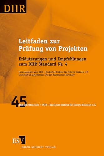 Leitfaden zur Prüfung von Projekten: Erläuterungen und Empfehlungen zum DIIR Standard Nr. 4. Mit zahlreichen Prüfungsfeldern und -fragen (DIIR-Schriftenreihe)