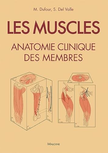 Les Muscles: Anatomie Clinique Des Membres von MALOINE