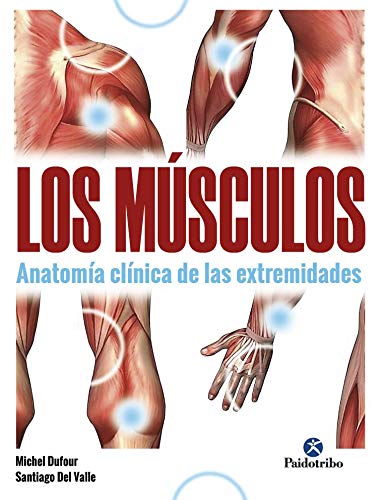Músculos, Los. Anatomía clínica de las extremidades (Medicina)