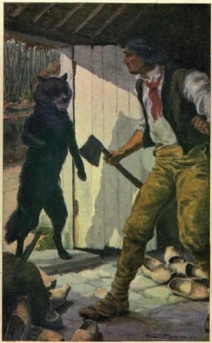 The Wolf-Leader von Anson Street Press