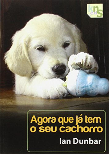 Agora que já tem o seu cachorro