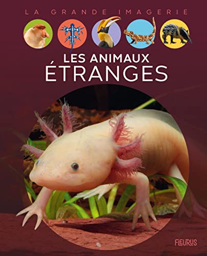 Les animaux étranges von FLEURUS
