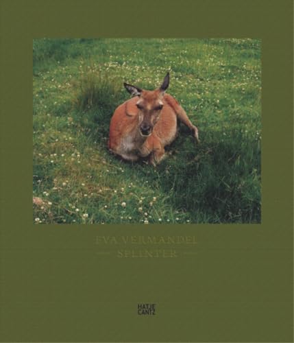 Eva Vermandel. Splinter