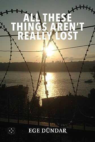All These Things Aren't Really Lost von Eyewear Publishing