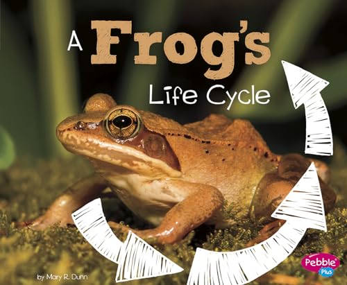 A Frog's Life Cycle (Explore Life Cycles) von Capstone Press