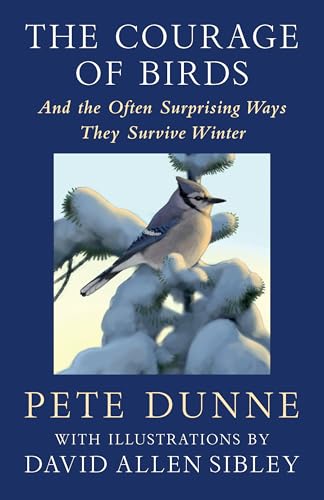 The Courage of Birds: And the Often Surprising Ways They Survive Winter von Chelsea Green