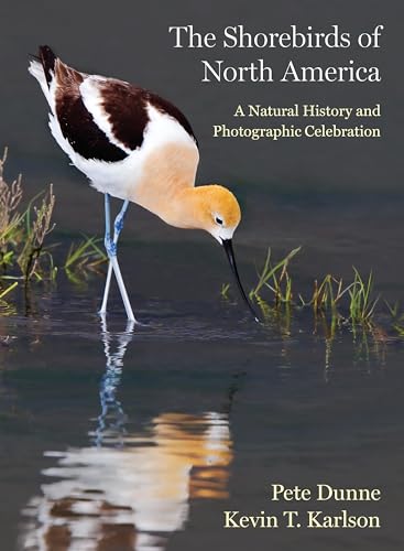 The Shorebirds of North America: A Natural History and Photographic Celebration von Princeton University Press