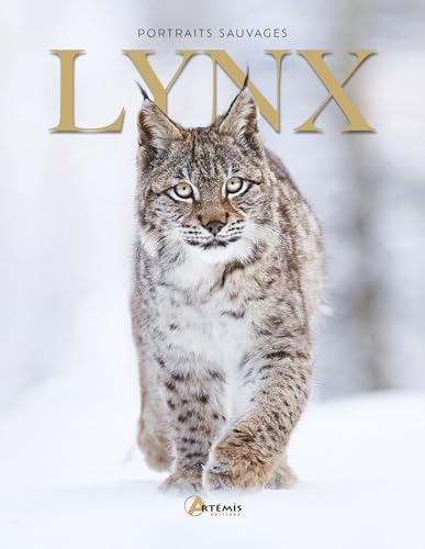 Lynx von ARTEMIS