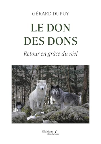 Le don des dons: Retour en grâce du réel von Baudelaire