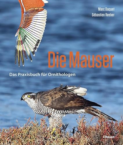 Die Mauser: Das Praxisbuch für Ornithologen