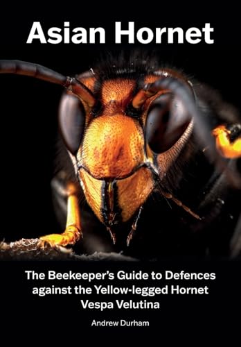 Asian Hornet The Beekeeper's Guide to Defences against the Yellow-legged Hornet Vespa Velutina von Northern Bee Books