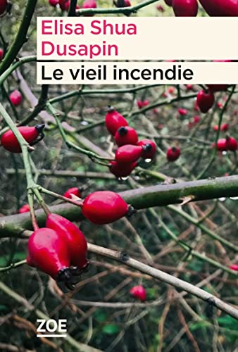 Le vieil incendie von Editions Zoe