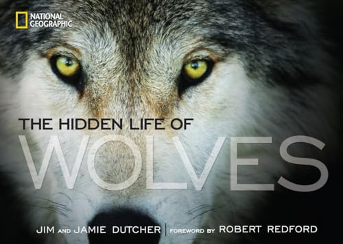 The Hidden Life of Wolves von National Geographic