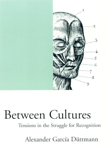 Between Cultures: Tensions in the Struggle for Recognition (Phronesis)