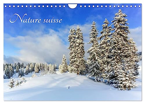 Nature suisse (Calendrier mural 2025 DIN A4 vertical), CALVENDO calendrier mensuel: Les paysages de Suisse, un plaisir pour les yeux ! von Calvendo