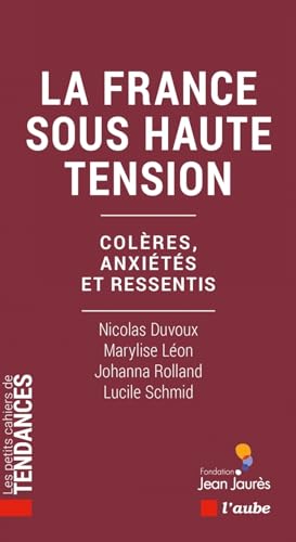 La France sous haute tension: Colères, anxiétés et ressentis von DE L AUBE