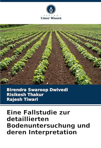 Eine Fallstudie zur detaillierten Bodenuntersuchung und deren Interpretation von Verlag Unser Wissen