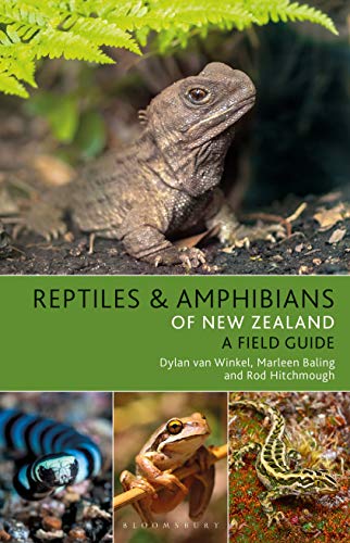 Reptiles and Amphibians of New Zealand (Bloomsbury Naturalist)