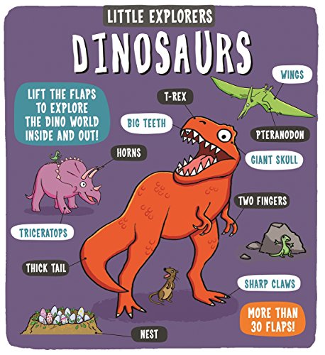 Little Explorers: Dinosaurs