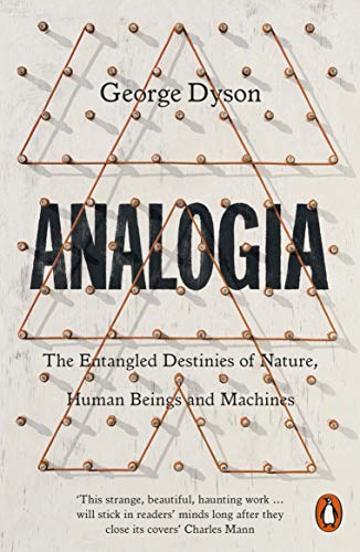 Analogia: The Entangled Destinies of Nature, Human Beings and Machines von Penguin
