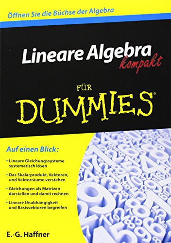 Lineare Algebra kompakt für Dummies von Wiley