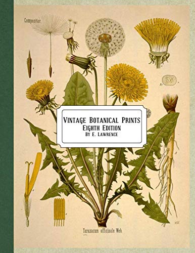 Vintage Botanical Prints: Eighth Edition