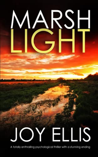 MARSHLIGHT a totally gripping psychological thriller with a stunning twist (Detective Matt Ballard Mystery, Band 4)