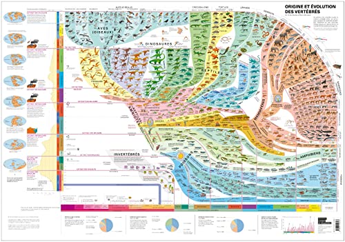 Atlas des vertébrés - Poster - Origine et évolution des vertébrés von Lep