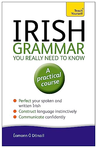 Irish Grammar You Really Need to Know: Teach Yourself