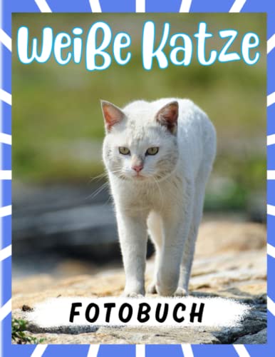 Weiße Katze Fotobuch: Die besten Bilder von weißen Kätzchen für Mädchen, Teenager zum Entspannen und Dekorieren als Geschenk | 40 Hochwertige Seiten von Independently published