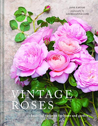 Vintage Roses: Beautiful varieties for home and garden von Pavilion Books