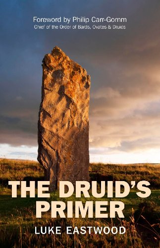The Druid's Primer von Moon Books