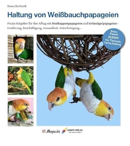 Haltung von Weißbauchpapageien: Praxisbuch für das Leben mit Grünzügelpapageien und Rostkappenpapageien