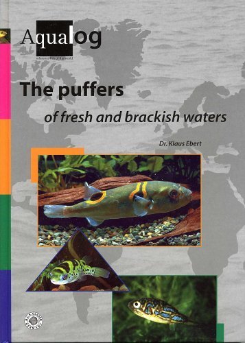 The puffers of fresh and brackish waters