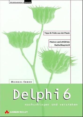 Delphi 6 nachschlagen und verstehen . (Programmer's Choice)