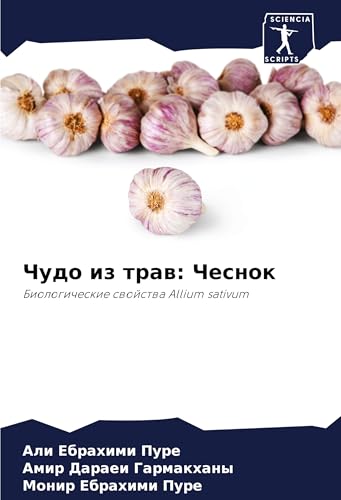 Chudo iz traw: Chesnok: Biologicheskie swojstwa Allium sativum von Sciencia Scripts