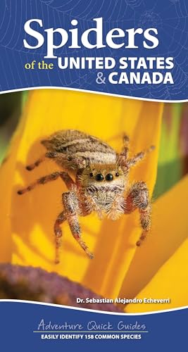 Spiders of the United States & Canada: Easily Identify 158 Common Species (Adventure Quick Guides) von Adventure Publications