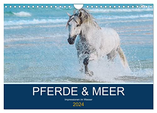 PFERDE & MEER (Wandkalender 2024 DIN A4 quer), CALVENDO Monatskalender