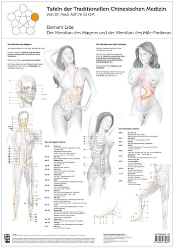 Element Erde: Tafel der Traditionellen Chinesischen Medizin: Der Meridian des Magens und der Meridian des Milz-Pankreas Element Erde: Tafel der Traditionellen Chinesischen Medizin: Der Meridian des Magens und der Meridian des Milz-Pankreas von Bacopa