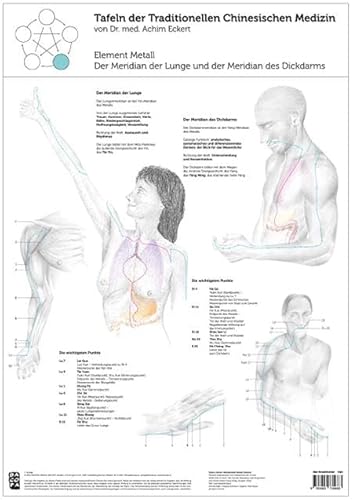 Element Metall: Tafel der Traditionellen Chinesischen Medizin: Der Meridian der Lunge und der Meridian des Dickdarms