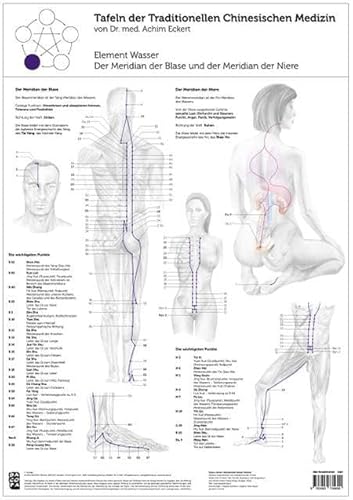 Element Wasser: Tafel der Traditionellen Chinesischen Medizin: Der Meridian der Blase und der Meridian der Niere von BACOPA