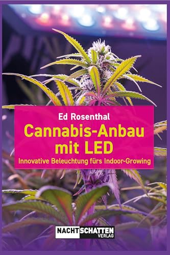 Cannabis-Anbau mit LED: Innovative Beleuchtung fürs Indoor-Growing