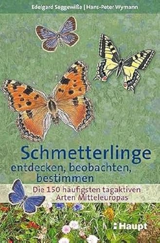 Schmetterlinge entdecken, beobachten, bestimmen: Die 150 häufigsten tagaktiven Arten Mitteleuropas: Die 160 häufigsten tagaktiven Arten Mitteleuropas von Haupt Verlag AG