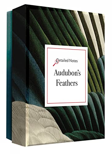 Audubon's Feathers (a Detailed Notes Notecard Box): A Detailed Notes notecard set