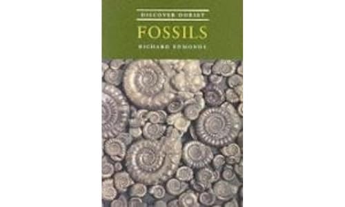 Discover Dorset Fossils von The Dovecote Press